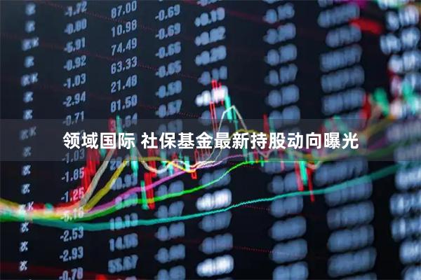 领域国际 社保基金最新持股动向曝光
