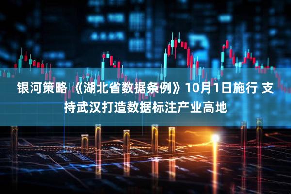 银河策略 《湖北省数据条例》10月1日施行 支持武汉打造数据标注产业高地