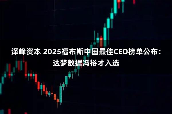 泽峰资本 2025福布斯中国最佳CEO榜单公布：达梦数据冯裕才入选