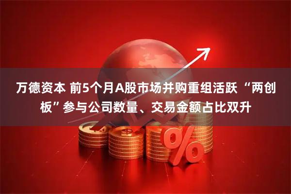 万德资本 前5个月A股市场并购重组活跃 “两创板”参与公司数量、交易金额占比双升